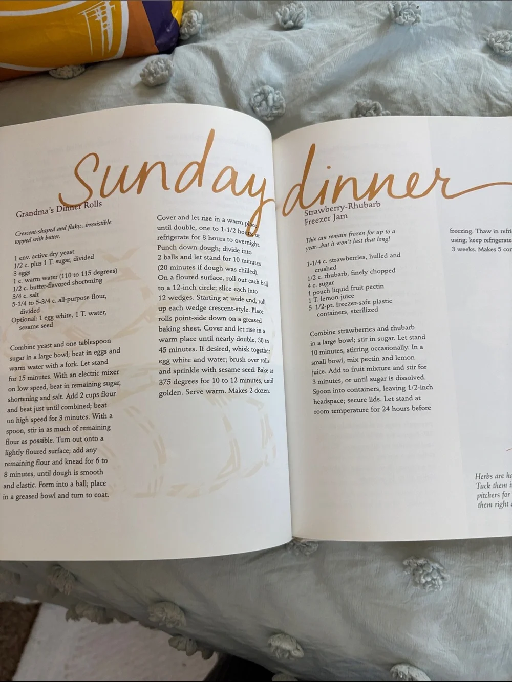 Coming Home with Gooseberry Patch Cookbook – Green Autumn Cover